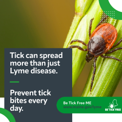 Background image of a deer tick close up sitting on a grass stem. The image text says "Ticks can spread more than just Lyme disease. Prevent tick bites every day. Be tick free ME."