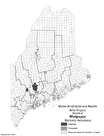 Mudpuppy distribution map (PDF)