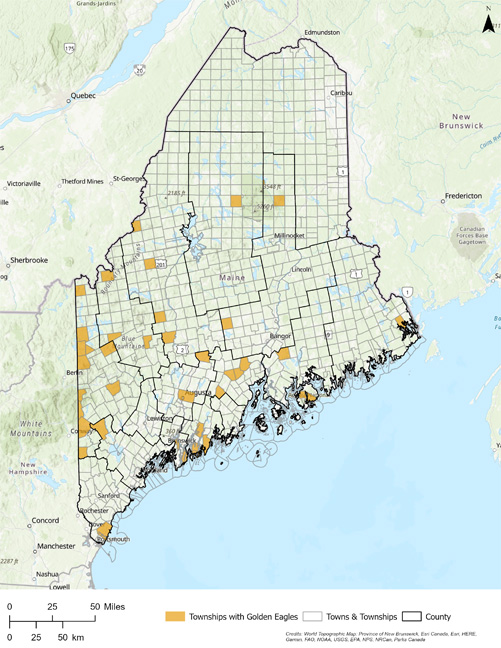 Map of Golden Eagle observations and historic breeding regions