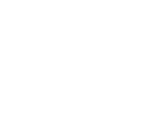 alert_triangle