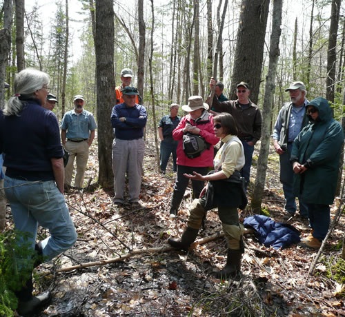 Dr. Aram Calhoun teaches the importance of thoughtful forest management practices around amphibian habitat, Augusta.<br />Photo credit Amanda Mahaffey Dr. Aram Calhoun teaches the importance of thoughtful forest management practices around amphibian habitat, Augusta. Photo credit Amanda Mahaffey