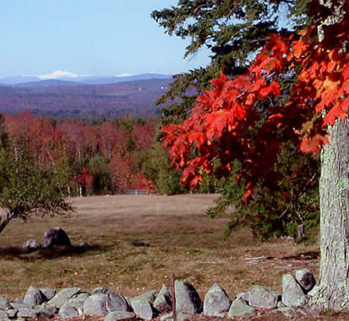 Fantastic fall colors make Kennebec's woodlands a pleasant backyard spectacle at Sturtevant Farm.<br />Photo credit Arn & Leda Sturtevant Fantastic fall colors make Kennebec's woodlands a pleasant backyard spectacle at Sturtevant Farm. Photo credit Arn & Leda Sturtevant