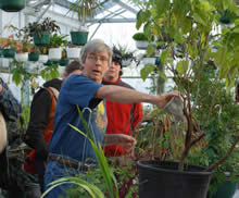 Grower Demonstrates Application of Beneficial Nematodes to Control Greenhouse Pests