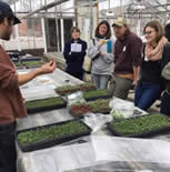 Michael DuBois demonstrated microgreens production microgreens