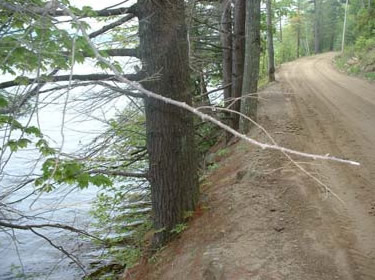 Dirt road uphill from a river or pond.