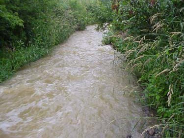 River with eroded soils and sedimentation running through it.