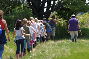 Single file line of young students outside at the edge of a field  accompanied by adults.