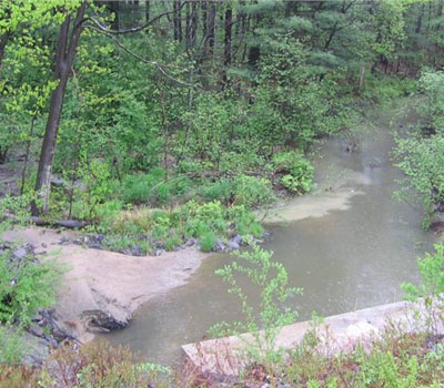 Long Creek Watershed with vegetation along shoreline.