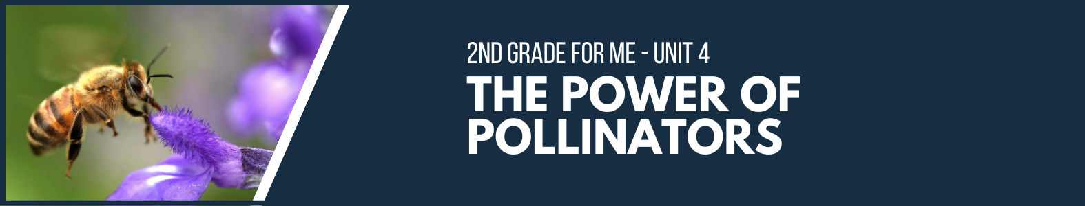 Pollinators Banner