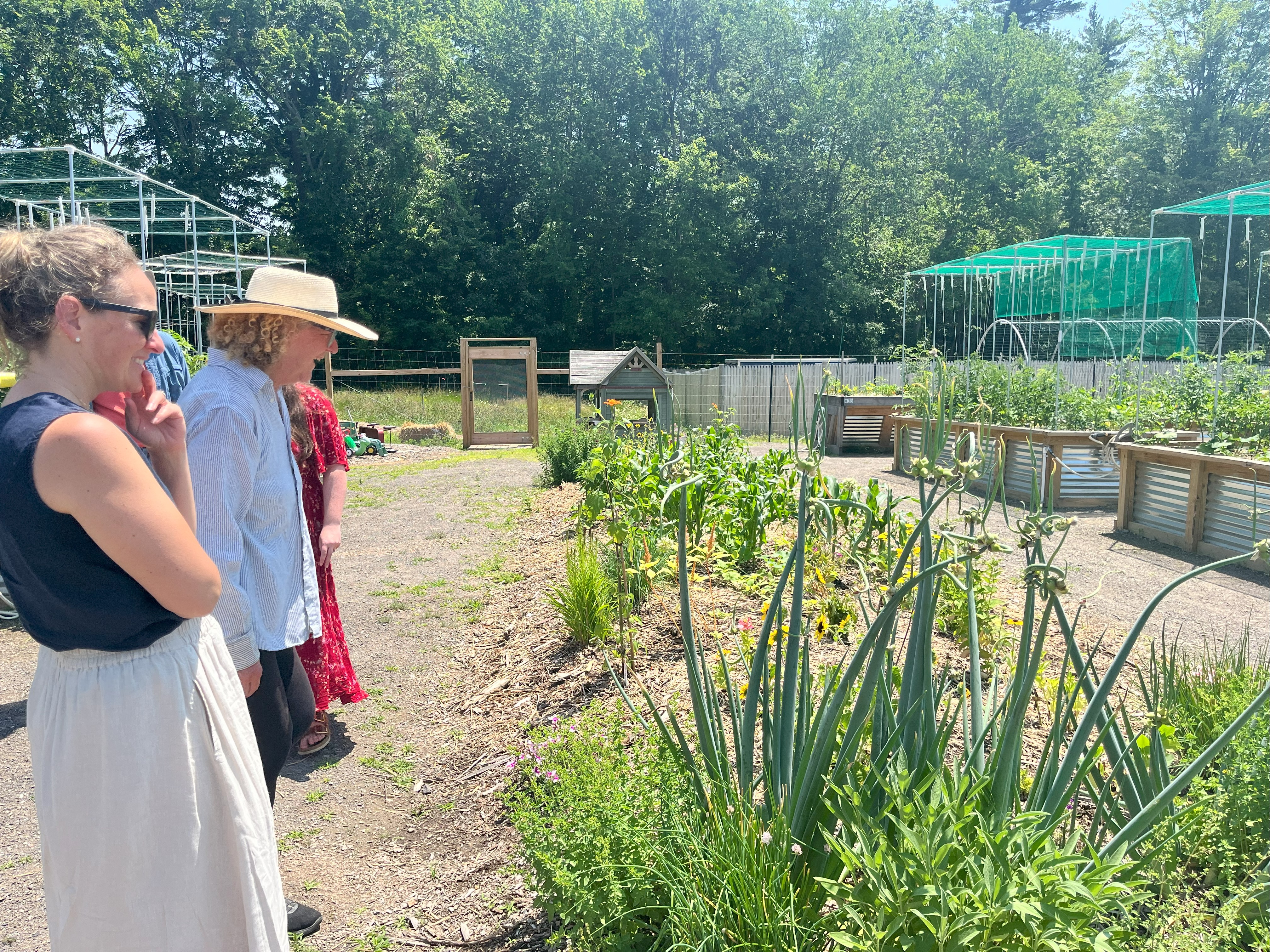 Two women standing next to a garden bed with long green stalks.